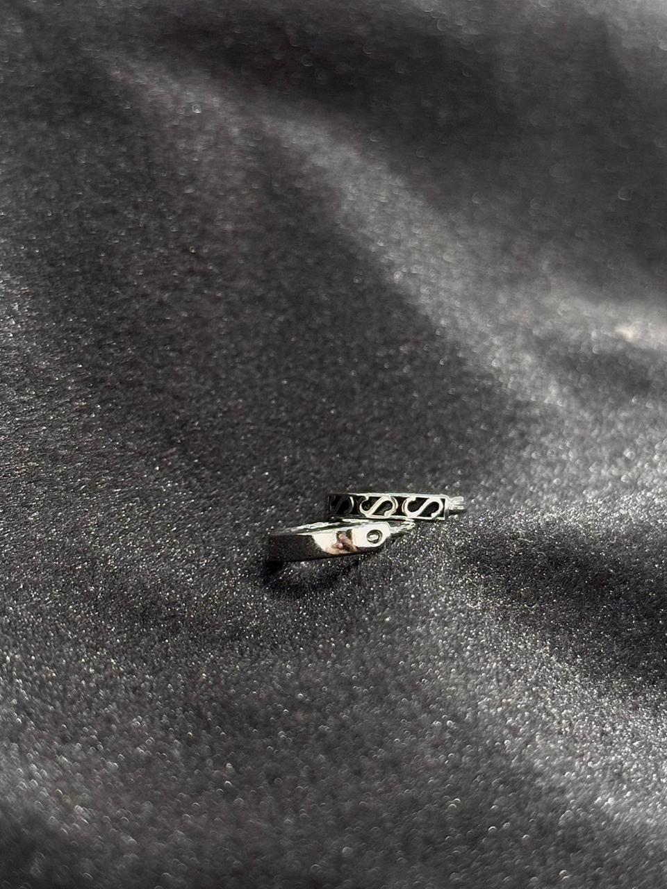 Dual Essence 925 Silver Earrings